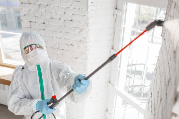 Trusted Florence, MT Mold Removal Experts