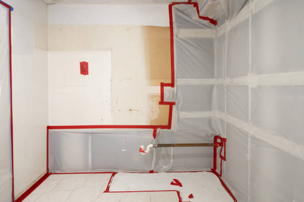 Best Environmental Consulting for Mold Prevention  in Florence, MT